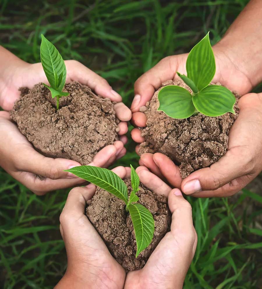 plant-seeds-img
